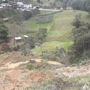 Meet your Posher, Andres